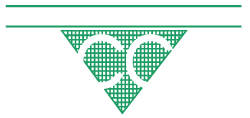 Carlson Const logo footer